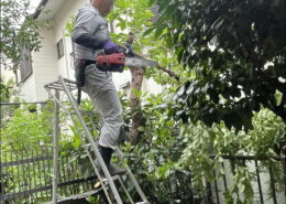 埼玉県川口市｜近隣に越境した庭木伐採・運搬処分by便利屋ハッピー