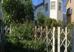 埼玉県さいたま市（3SLDK）｜空き家になった実家を売却までワンストップ　①庭木伐採 by便利屋ハッピー