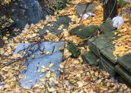 埼玉県越谷市／庭木の多い空き家の管理