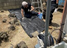 埼玉県川口市｜遠方の実家の庭整理①除草剤散布 by便利ハッピー