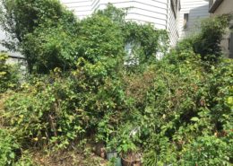 埼玉県さいたま市（3LDK)｜空き家になった実家を売却までワンストップ　①庭木伐採 by便利屋ハッピー