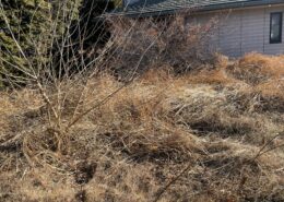 埼玉県内|庭地内草刈り by便利屋ハッピー