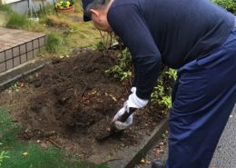 埼玉県川口市|玄関前のサツキの伐根 by便利屋ハッピー