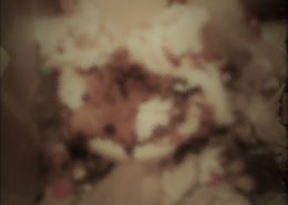 関東地方/ユニットバス内特殊清掃