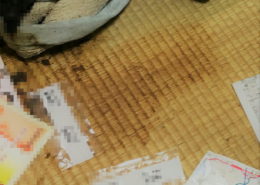 川崎市宮前区(１Kマンション)|特殊清掃、消臭、除菌、畳替え by便利屋ハッピー